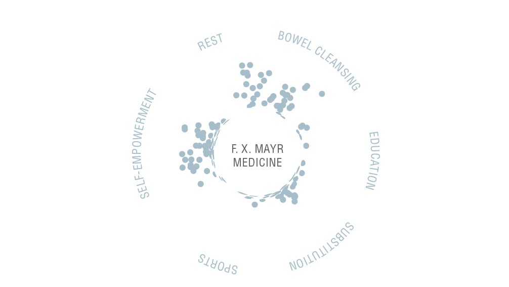 The six mainstays of Mayr Medicine